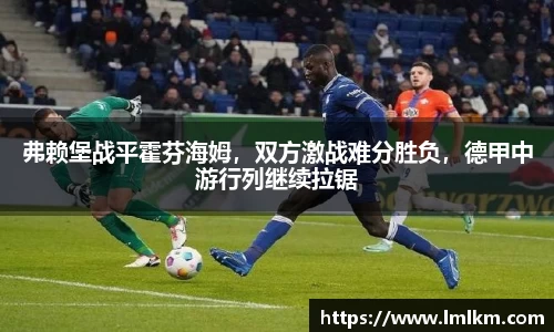 弗赖堡战平霍芬海姆，双方激战难分胜负，德甲中游行列继续拉锯