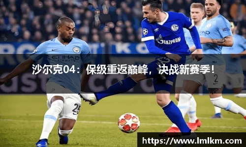 沙尔克04：保级重返巅峰，决战新赛季！